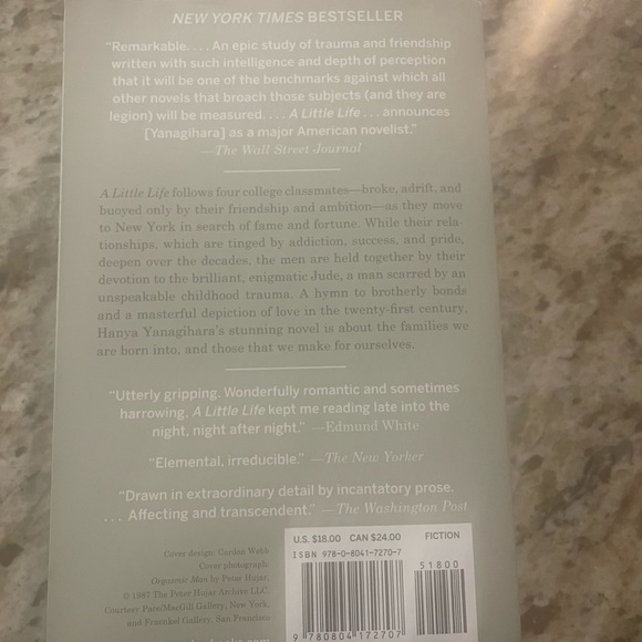 A Little Life book - Picture 2 of 2